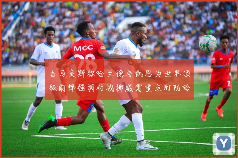 吉马良斯称哈兰德与凯恩为世界顶级前锋强调对战挪威需重点盯防哈兰德